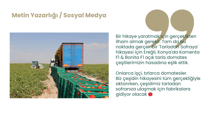 marka kimliğinize uygun metin yazarlığı yapabilirim