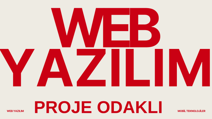 sizin için büyük ölçekli web projelerinizi yapabilirim