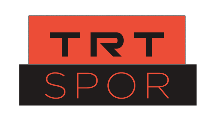 sizin için minimalist logo yapabilirim
