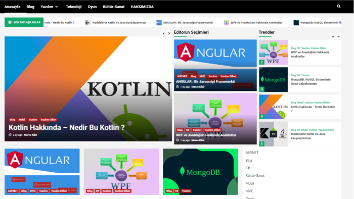 front-end ya da full-stack bir websitesi yazabilirim