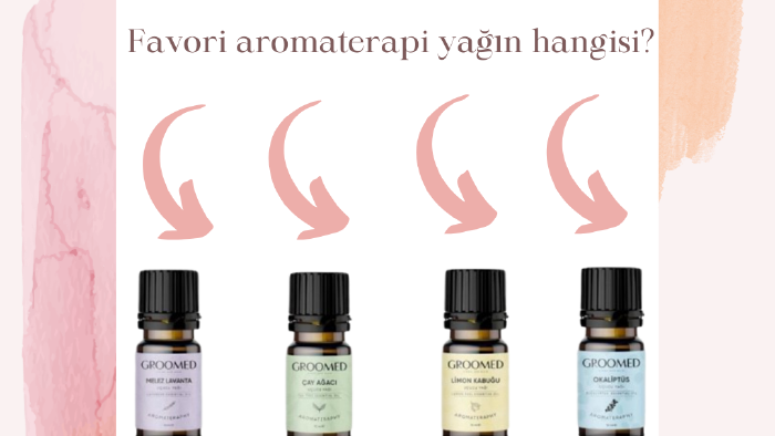 canva üzerinden afiş tasarımı yapabilirim