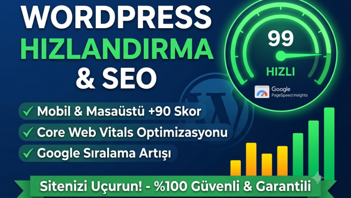 WordPress sitenizi hızlandırıp Google'da uçururum