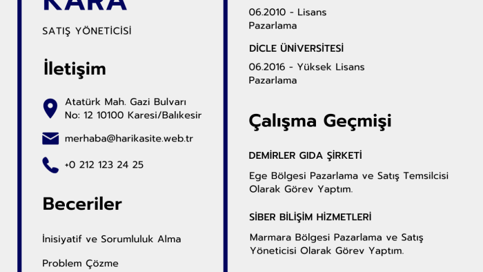 etkiliyeci ve profesyonel cv hazırlayabilirim