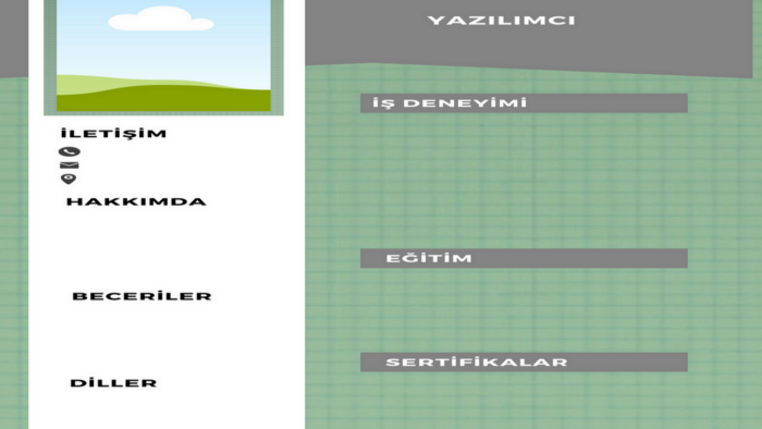 yaratıcı CV tasarımları yapabilirim
