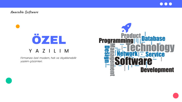 özel yazılım geliştirme hizmeti sunarım