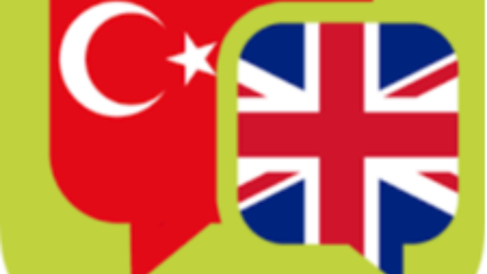 İngilizce-Türkçe profesyonel çeviri yapıyorum
