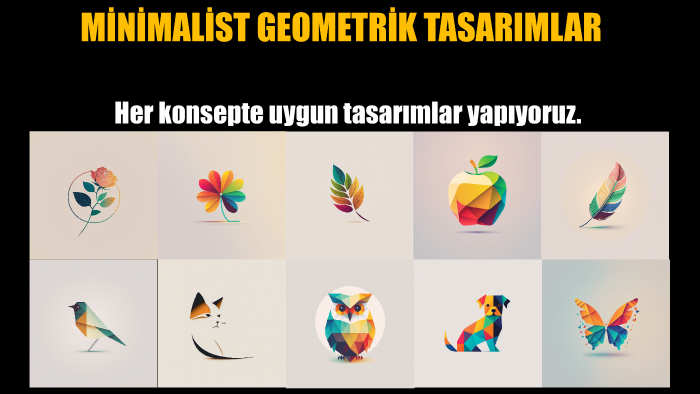 minimalist ve geometrik tasarımlar yaparım