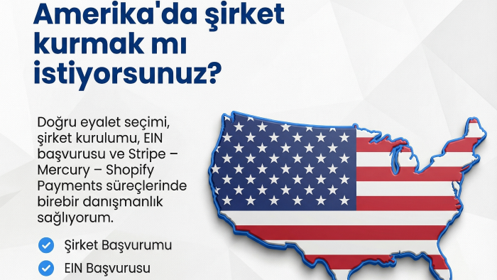 Amerika'da şirket kurulumu desteği veriyorum