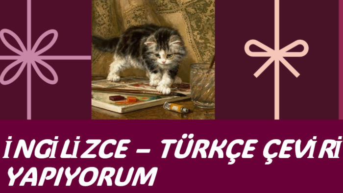 yazı ve metinlerinizi çeviririm