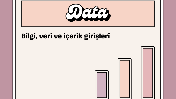 sizler için veri girişi yapabilirim