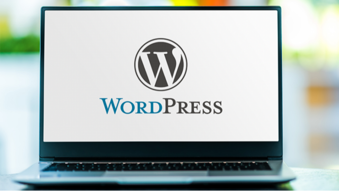wordPress eklentilerinizi kurar, düzenler ve hata gideririm