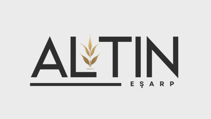 sizin için modern yaratıcı özgün logo tasarımı yaparım