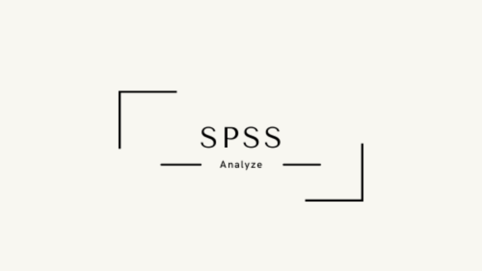 SPSS analiz işlerinizi yaparım