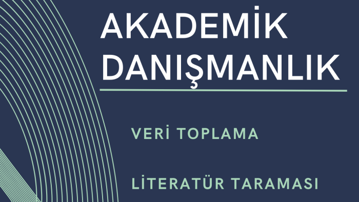 istediğiniz konuda literatür taraması yapabilirim