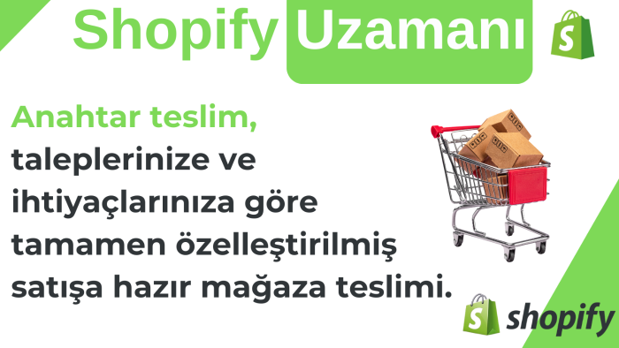 shopify mağazanızı profesyonel şekilde kurarım