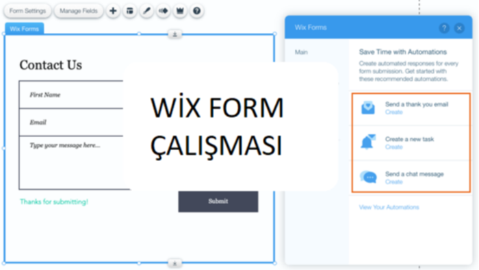 wi̇x uzmanı olarak dilediğiniz formu kurabilirim