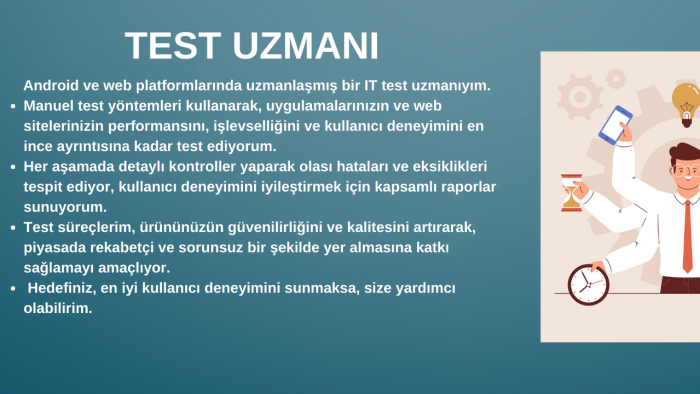 test uzmanıyım son kullanıcı testleri yaparım