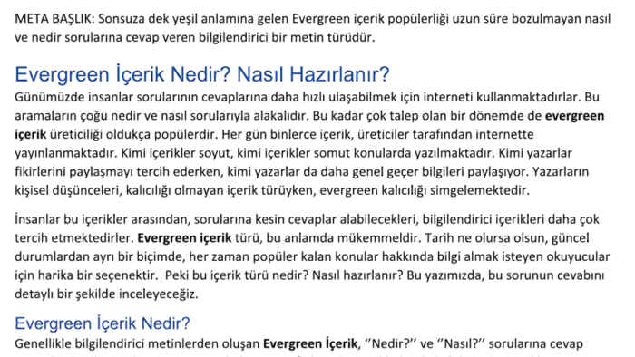 SEO uyumlu metin yazabilirim