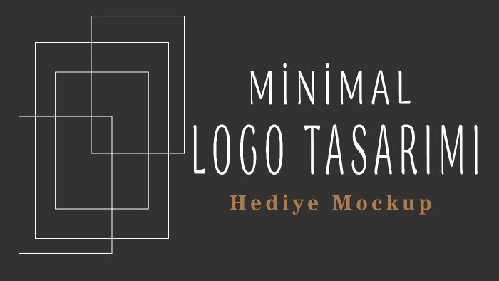 minimal logo tasarımı yaparım