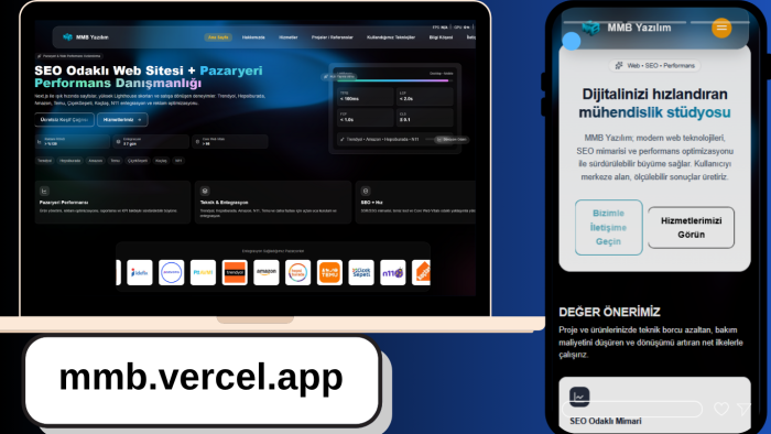 anahtar teslim profosyonel web sistesi geliştiriyorum