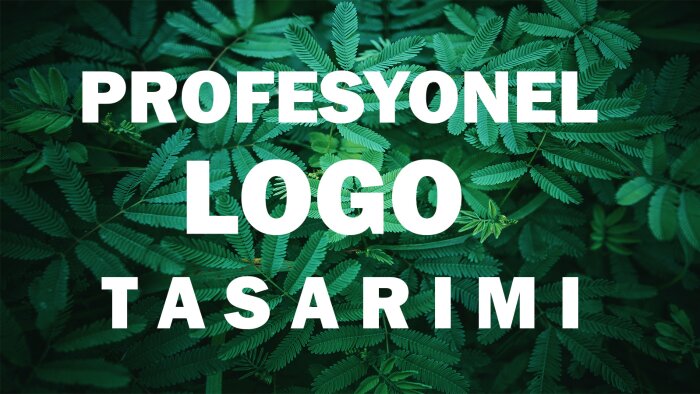  uygun fiyata sade,şık ve modern logo tasarlayabilirim