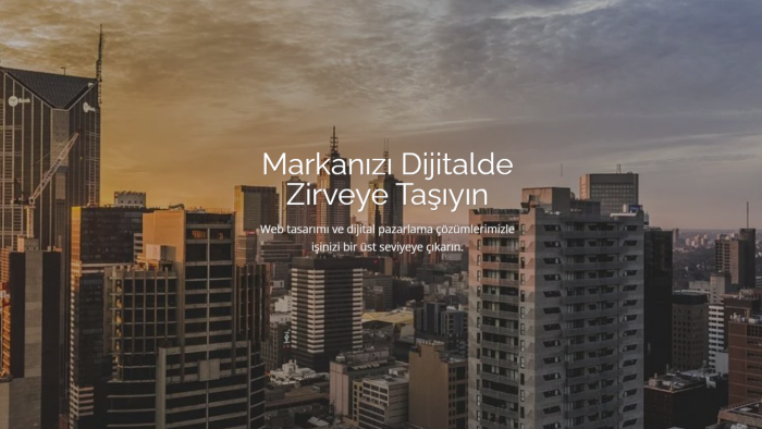 e-ticaret danışmanlığı ve web sitesi yaparım
