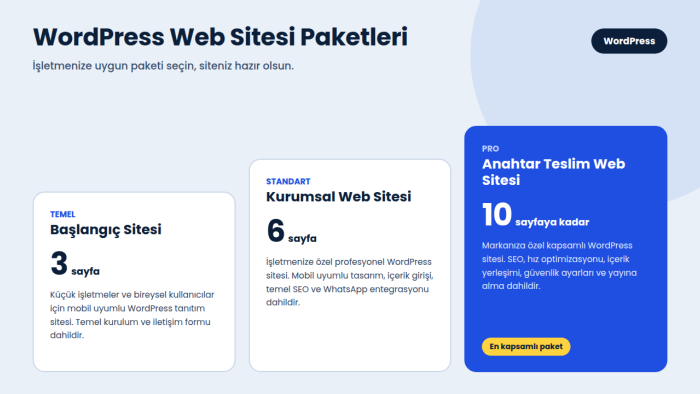 profesyonel WordPress siteleri oluşturabilirim