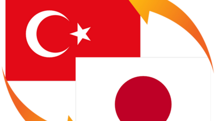  Japoncayı doğal ve akıcı şekilde profesyonel çeviririm