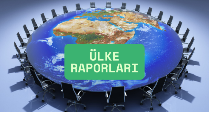 istediğiniz bir ülke hakkında rapor hazırlarım
