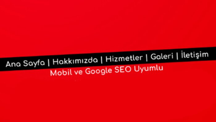 anahtar teslim web sitenizi yapabilirim