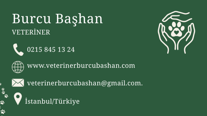 hayallerinizin ötesi bir kartvizit oluşturabilirim