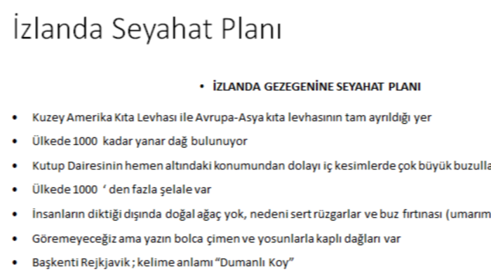 size özel detaylı seyahat ve gezi planı hazırlarım