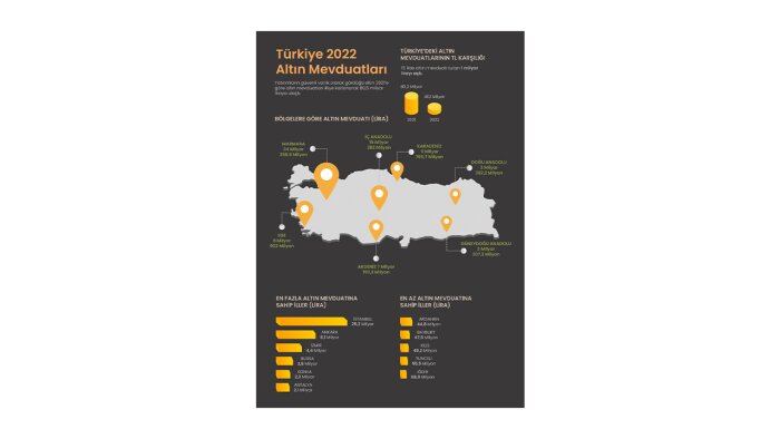 etkileyici infografik tasarımı yaparım