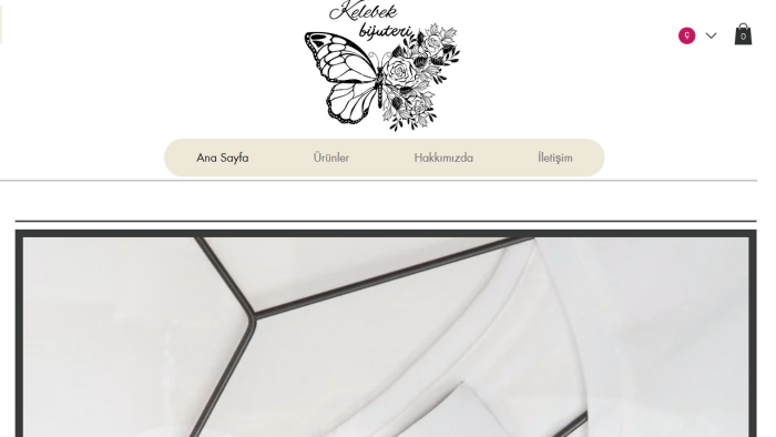 sizin için basit ve kısa sürede web sitesi yapabilirim