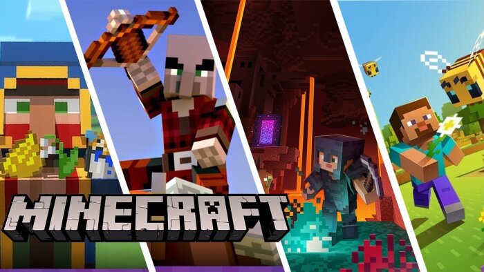 profesyonel Minecraft sunucusu kurabilirim