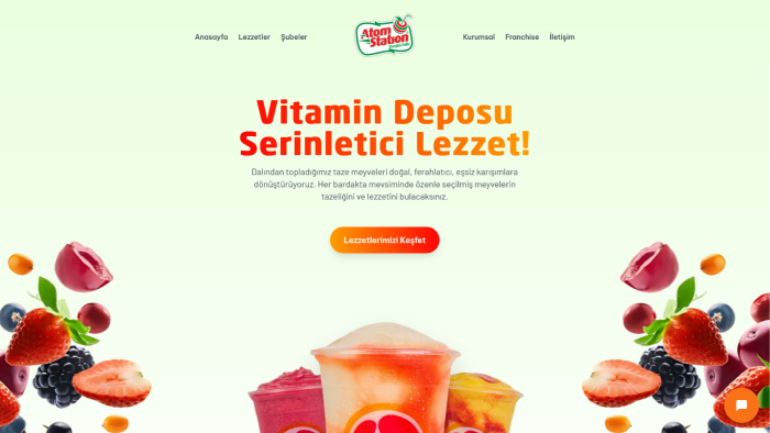admin panelli web sitesi yapıyorum