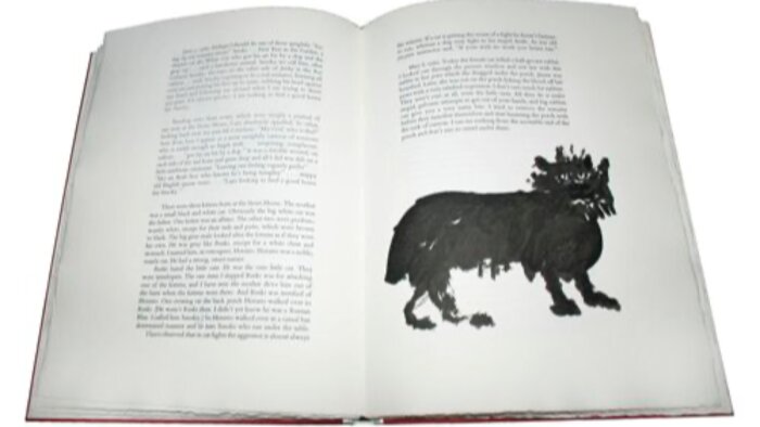 kitap analizi yapabilirim