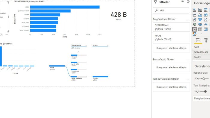 verileri profesyonel grafiklerim ve raporlarım