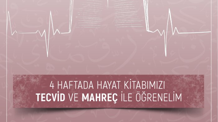 el ilanı, broşür, afiş ve banner tasarımı yapabilirim