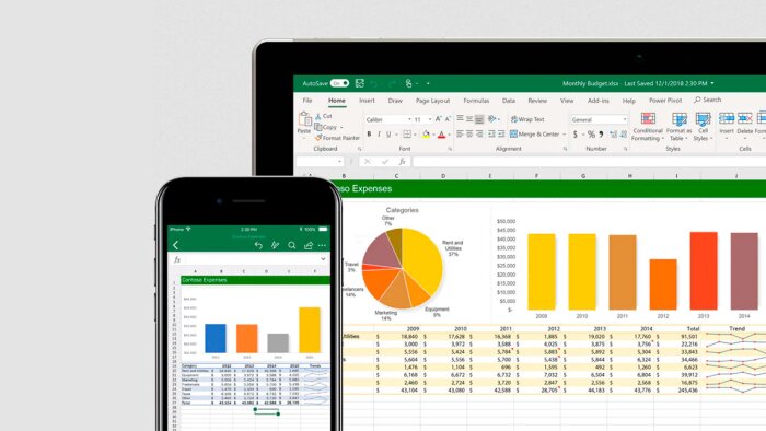 Excel veri girişi ve düzenli raporlama yaparım
