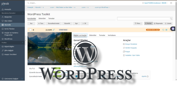 kurumsal veya kişisel wordpress sitenizi kurabilirim