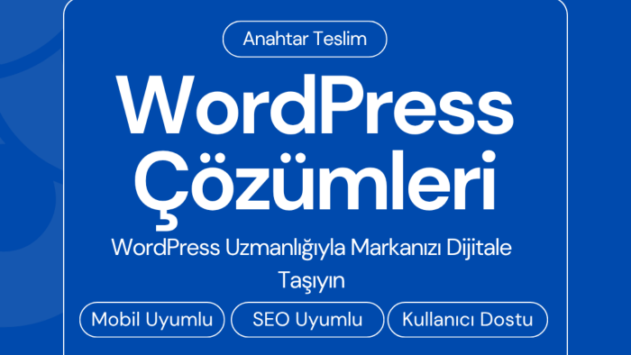 Wordpress ile bağlantılı tüm işlerinize yardımcı olabilirim