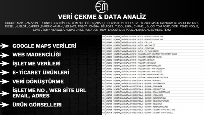 veri çekme veri kazıma veri analizi yaparım