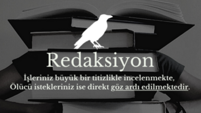 metinleriniz için redaksiyon hizmeti veririm
