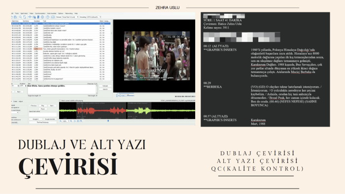 İngilizceden dublaj çevirisi ve altyazı çevirisi yaparım