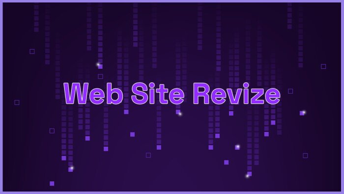 web sitenizi baştan sona revize ederim