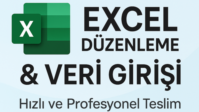 excel dosyalarınızı düzenli ve profesyonel hale getiririm