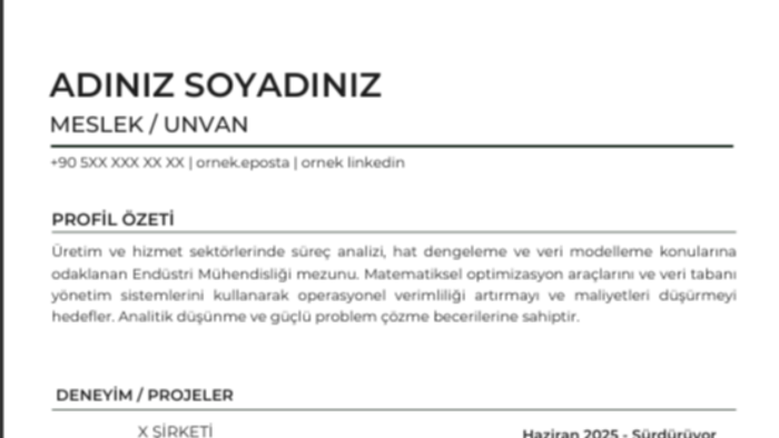 ats uyumlu modern cv tasarımı hazırlarım