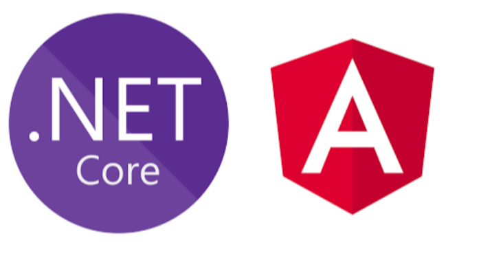 .NET Core ve Angular projelerinizi geliştiririm
