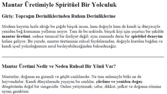 seo uyumlu ve özgün blog yazıları yazabilirim